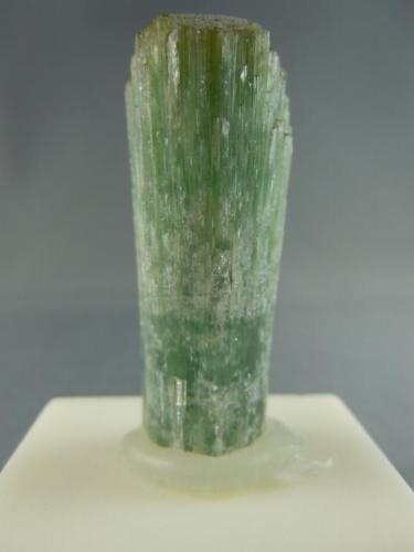 Tourmaline
Mt. Mica
Paris, Maine
1.5cm x 4.3cm (Author: rweaver)