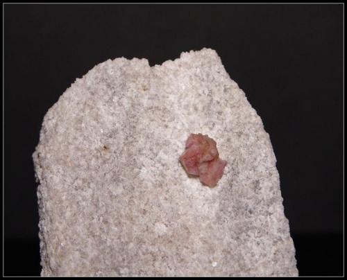 ESPINELA ROSA - Sierra de Mijas - Mijas - Málaga - 6cm x 4.5cm (Autor: Mijeño)