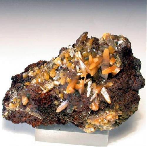 Wulfenite
Ojuela mine, Mapimi, Mexico
Specimen size:  6 x 4.5 x 3 cm. Crystal size: 1 cm. (Author: Leon56)