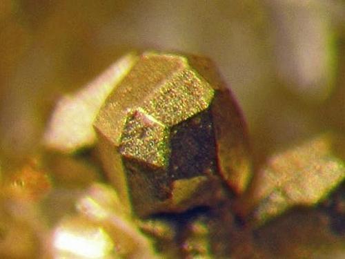Oro
Rosia Montana, Transylvania, Rumanía, Europa. 
Cristal (aprox. 1,5 mm.).
Col. y foto Nacho Gaspar. (Autor: Nacho)