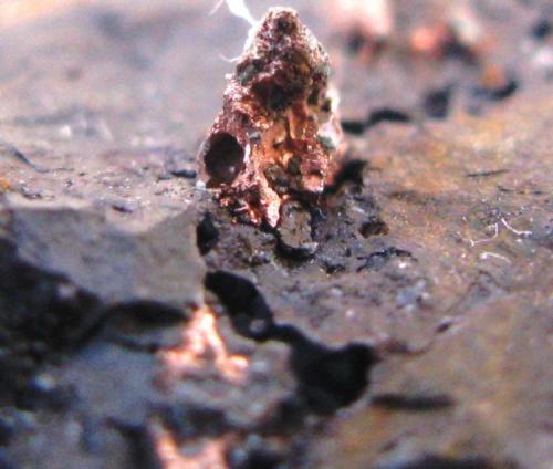 Cobre Nativo. 
El Horcajo.
Ciudad Real.
Tamaño de la muestra: 3.5x3 cm. (Autor: Jose Luis Otero)