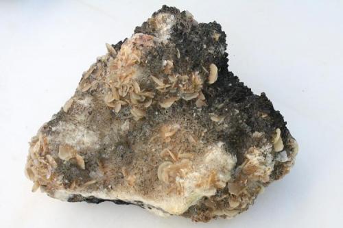 Magnesita con dolomita.<br />Azcárate Quarry, Eugui, Esteríbar, Comarca Auñamendi, Chartered Community of Navarre (Navarre), Spain<br />21 x 15 cm.<br /> (Autor: canada)