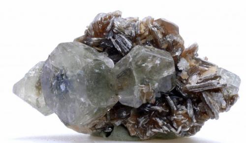 Bertrandita, Fluorapatito y Mica - 
Minas da Panasqueira - Barroca Grande - Covilha - Castelo Branco - Portugal - 
3,7 x 2,0 x 1,9 cm (Autor: Martí Rafel)