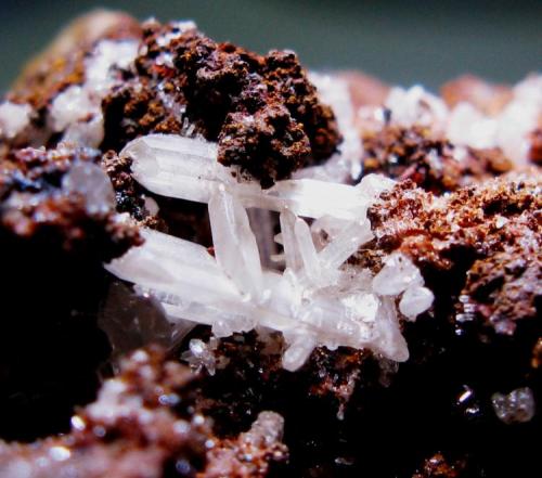 Cerusita.
Mina Preguiça.
Sobral da Adiça.
Moura.
Beja.
Portugal.
Tamaño de la muestra: 7x4 cm.
Grupo de cristales: 8 mm. (Autor: Jose Luis Otero)