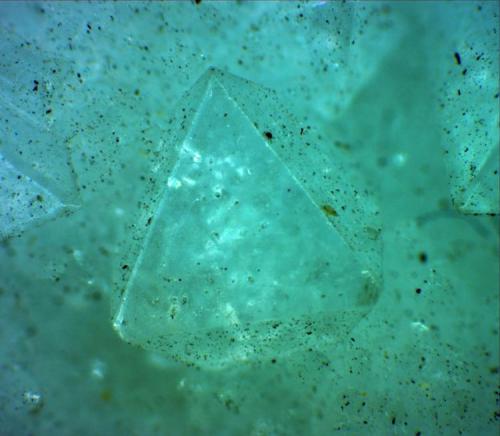 A larger veiw of one of the crystals. FOV 4 mm. (Author: Jim Prentiss)