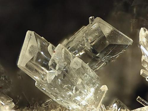 Epistilbite with Quartz and Chabazite
Puu o Ehu Quarry, Kailua, Oahu Island, Honolulu Co., Hawaii, USA
Field of view: 3.9 mm.
Specimen size: 5 x 5 x 3 cm.
Photo: Volker Betz (Author: Jordi Fabre)