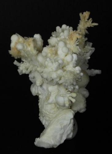 Aragonite and Calcite

Bisbee
Warren District
near Bisbee
Cochise County, Arizona
United States of America

85.0 x 55.0 x 58.0 mm overall (Author: GneissWare)