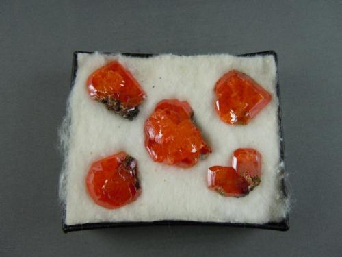Wulfenite
Red Clound MIne
Yuma Co., (now La Paz Co.)
Arizona
ricker box is 8.0cm x 7.0cm (Author: rweaver)