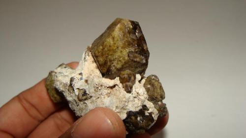 Garnet on matrix of calcite
Santa Gertrudis, Chihuahua, Mexico.
Size: 6cm (Author: javmex2)