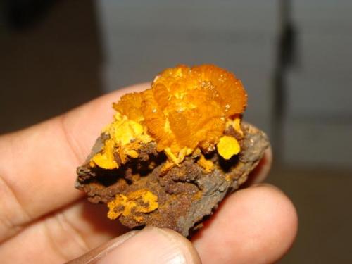 Hemimorphite fire
San Antonio, Chihuahua, Mexico.
Size: 4.5cm (Author: javmex2)