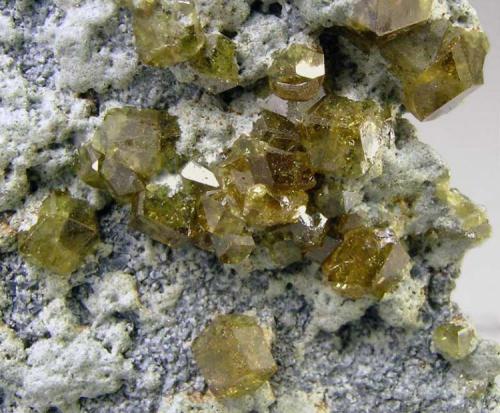 Andradite (Topazolite)
Yellow Cat Mine, New Idria District, San Benito County, California, USA 
Mined: November 1998
Specimen size: 5.4 × 4 × 1.4 cm.
Main crystal size: 0.4 × 0.4 cm.
Photo: Reference Specimens (Author: Jordi Fabre)
