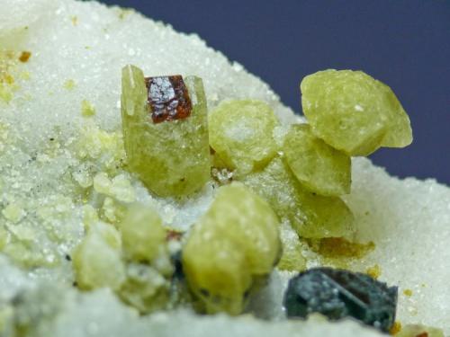 Forsterita + Clinohumita + Espinela - Llanos del Juanar, Sierra Blanca - Ojén - Málaga
Detalle de la pieza anterior (Autor: El Coleccionista)