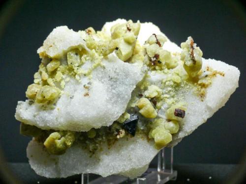 Forsterita + Clinohumita + Espinela - Llanos del Juanar, Sierra Blanca - Ojén - Málaga
Pieza de 11 x 10 cm. cristal mayor 2,5 cm. (Autor: El Coleccionista)