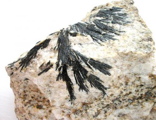 Schorl in pegmatite from Mulda near Freiberg, Saxony. 8 cm sample. (Author: Andreas Gerstenberg)