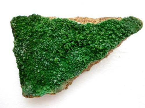 Pyromorphite on sandstone matrix. 9,5 cm sample from Gute Hoffnung mine, Bleibuir near Mechernich, Eifel mtns. (Author: Andreas Gerstenberg)