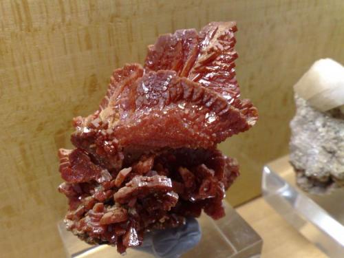 Vanadinite
Mibladen, Morocco
5x5 cm. (Author: Enrique Llorens)