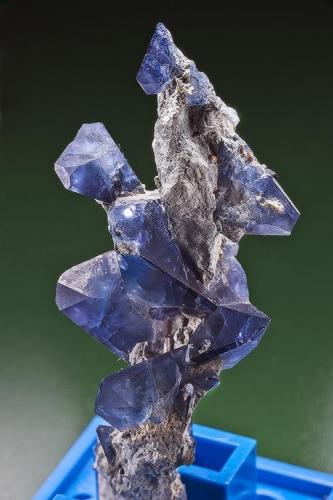 Benitoite
Benitoite Gem Mine, San Benito Co., California
Specimen size 5.8 x 2.2 cm. (Author: am mizunaka)