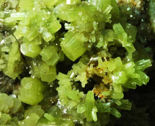 Piromorfita<br />San Andrés Mine, Espiel, Comarca Valle del Guadiato, Córdoba, Andalusia, Spain<br />8x4,6 cm.<br /> (Autor: Juan Luis Castanedo)