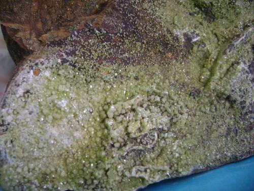 Piromorfita.<br />"Juan Antonio" mining group, Las Minillas area, Garlitos, Comarca La Siberia, Badajoz, Extremadura, Spain<br />13 X 10 X 9 centimetros ,cristales mayores 3 y 4 milimetros.<br /> (Autor: P. apita)