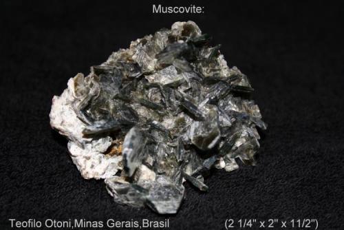 Muscovite #1.jpg (Author: Bruce Sevier)