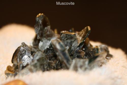 Muscovite #1G.jpg (Author: Bruce Sevier)