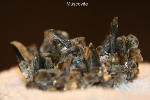 Muscovite #1F.jpg (Author: Bruce Sevier)