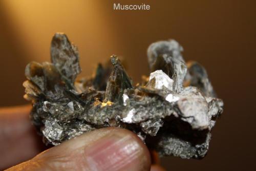 Muscovite #1E.jpg (Author: Bruce Sevier)