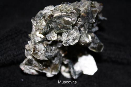 Muscovite #1D.jpg (Author: Bruce Sevier)