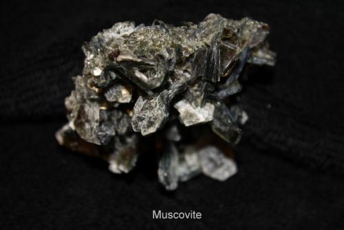 Muscovite #1C.jpg (Author: Bruce Sevier)