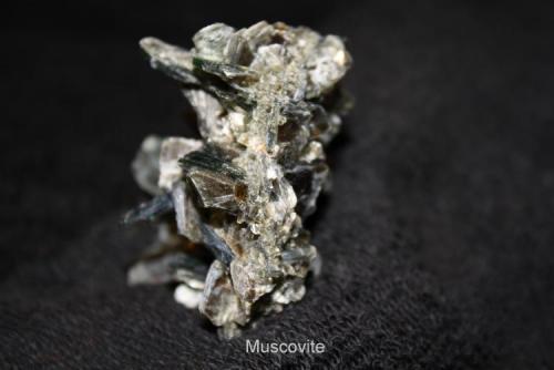 Muscovite #1B.jpg (Author: Bruce Sevier)