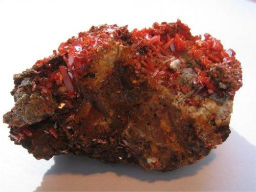 CROCOITE (Lead Chromate)

Source: Adelaide Mine, Dundas, Tasmania, Australia.
Size: 7 x 4 x 3.5 cm. (Author: Leon56)