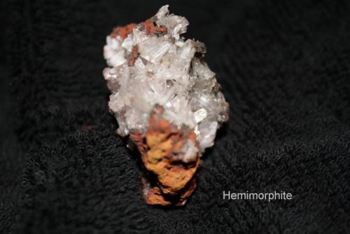 Hemimorphite:
"Mina Ojuela", Mapimí, Durango, Mexico (Author: Bruce Sevier)