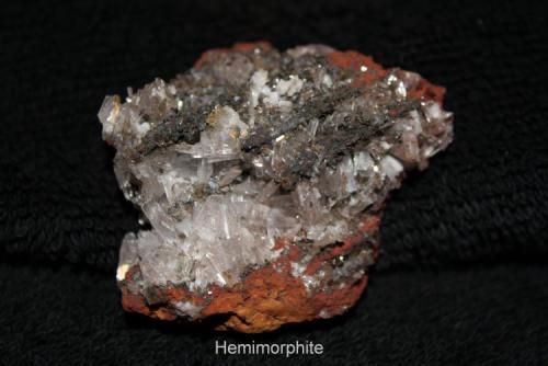 Hemimorphite:
"Mina Ojuela", Mapimí, Durango, Mexico (Author: Bruce Sevier)