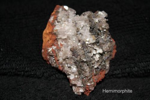 Hemimorphite:
"Mina Ojuela", Mapimí, Durango, Mexico (Author: Bruce Sevier)