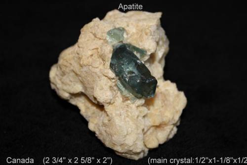 Apatite:
Canada
specimen size: 7 x 6.8 x 5.1cm
large crystal: 1.3 x 2.9 x 1.3cm
**Note: the (beige) matrix will change to pink, when back lit** (Author: Bruce Sevier)