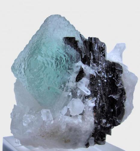 Fluorite, hübnerite, quartz
Huayllapon Mine (Huallapon Mine), Pasto Bueno District, Pallasca Province, Ancash Department, Peru
65 mm x 65 mm x 56 mm (Author: Carles Millan)