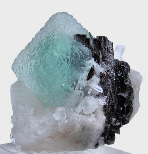 Fluorite, hübnerite, quartz
Huayllapon Mine (Huallapon Mine), Pasto Bueno District, Pallasca Province, Ancash Department, Peru
65 mm x 65 mm x 56 mm (Author: Carles Millan)