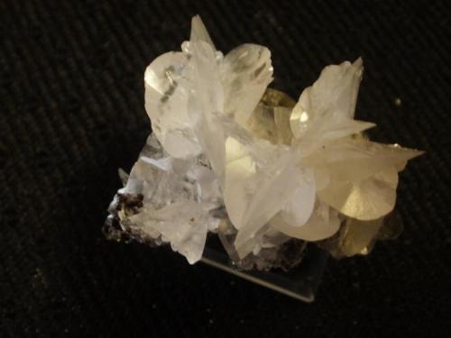 Quite nice 6 cm calcite, Ojuela Mine, Mexico, (Author: Darren)