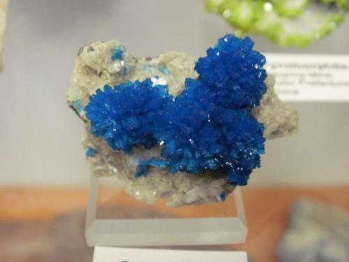 My small 4 cm Cavansite, bought from David Garske a few months ago. (Author: Darren)