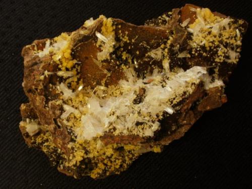 Hemimorphite, Mimetite combo from Mapimi, Durango, Mexico - about 20 cm across. Purchased at 2011 Deming show - have wanted one for a long time! (Author: Darren)