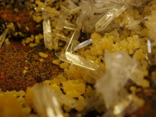 Close up - Hemimorphite, Mimetite combo from Mapimi, Durango, Mexico. (Author: Darren)