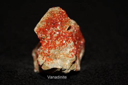 Vanadinite: 
Gila County, Arizona (Author: Bruce Sevier)