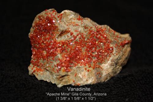 Vanadinite: 
"Apache Mine", Gila County, Arizona
specimen size: 35 x 43 x 38 mm (Author: Bruce Sevier)