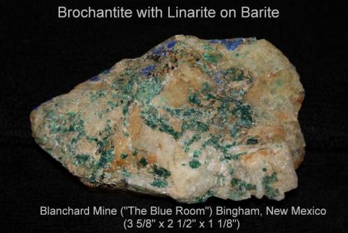 Brochantite with Linarite on Barite
"Blanchard Mine" ("The Blue Room") Bingham, New Mexico
specimen size: 92 x 64 x 29 mm (Author: Bruce Sevier)