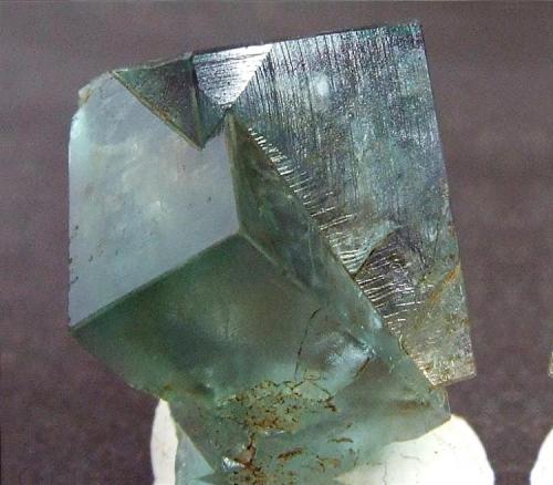 Fluorite twin
Blue Circle Cement Quarry, Weardale, UK
15mm across the face (Author: nurbo)