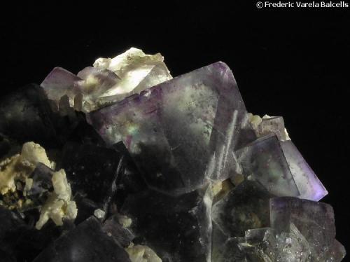 Fluorita.
Mina Okorusu (Okarusu), Distrito de Otjiwarongo, Región de Otjozondjupa, Namibia.
Detalle de algunos cristales con la misma iluminación posterior.
Pueden verse más fotos de estas fluoritas aquí:
http://www.foro-minerales.com/forum/viewtopic.php?p=17479#17479 (Autor: Frederic Varela)