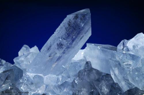 Celestina. 
Sakoany Mine. Vallee de la Sofia. Mahajanga (Majunga) Province. Madagascar. 
11.8x7.5 cm. Cristal mayor 3.7 cm. (Autor: Juan L)