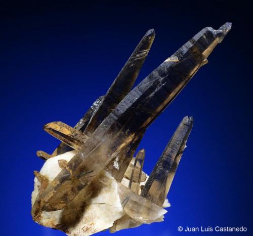 Cuarzo ahumado. 
Monte Malosa. Distrito Zomba. Malawi. 
6.6x3 cm. Cristal mayor 6 cm (Autor: Juan L)