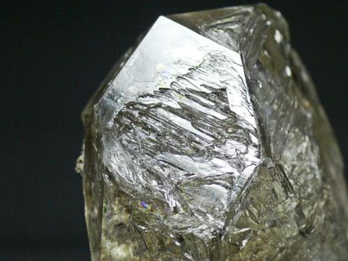 Cuarzo
Mina Emilio - El Fito - Loroñe - Asturias
Pieza de 7x7 cm. Cristal mayor 7 cm.
Detalle de la pieza anterior (Autor: El Coleccionista)