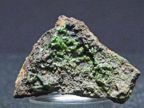 Piromorfita
El Marquesado - Sierra Nevada - Granada
Pieza de 3,5x3 cm. (Autor: El Coleccionista)